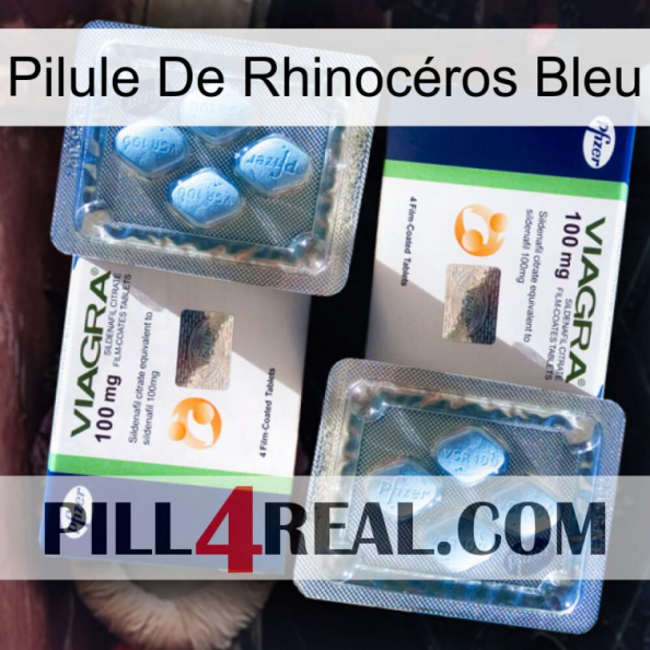 Pilule De Rhinocéros Bleu viagra5